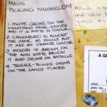 Mavis - Picking Mushrooms - Image 4